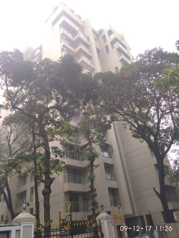 Main - Pinnacle Gold, Bandra West